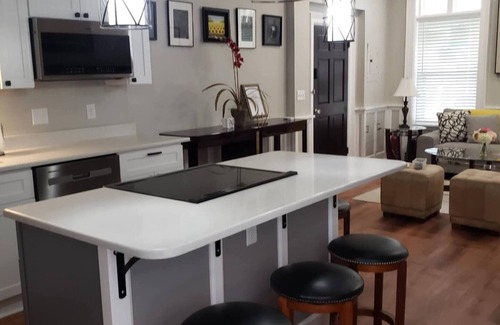 Albany Condo | Modern Historical Albany Living