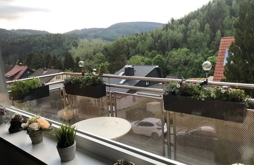 Lautenthal Condo | Modern holiday apartment with a wonderful view in the romantic town of Lautenthal