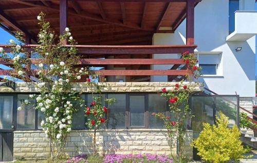 Popovaca House | Modern Home With Pool And View