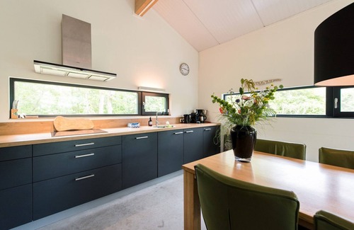 Ballum House | Modern house Juffer with terrace on south. Near woods and outdoor swimming pool.