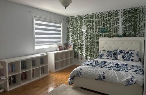 Hamilton House | Modern House near Albion Falls