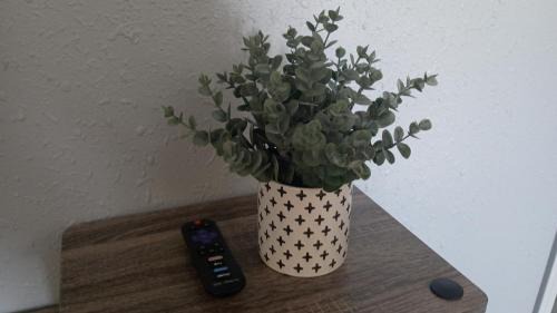 Alamogordo House | Modern Industrial Oasis Private Room with King Bed WiFi FREE Parking and More