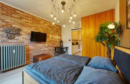 Vysehrad Apartment | Modern Industry Studio