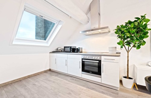 Ville Haute Apartment | Modern Loft w/ Washer, Smart TV & Near Attractions