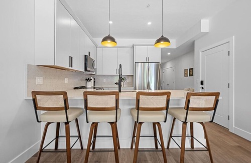 Central Business District Apartment | Modern Luxe Downtown Apartment- Near DCU Center, Universities, & Hospitals