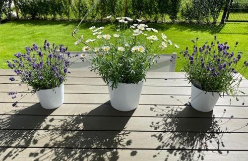 Harelbeke Apartment | Modern luxurious suite in new private apartment building by the river