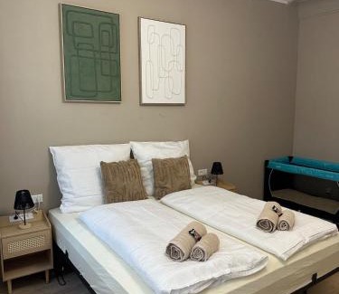 Mitte Apartment | Modern luxury apartment central parking