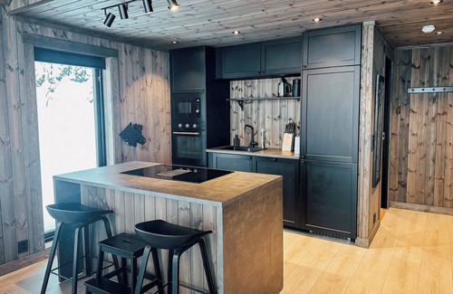 Gol Municipality Cabin | Modern Mountain Cabin - 3 Bedrooms - Sleeps 7