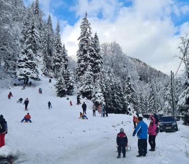 Leresti Ski Chalet | Modern mountain village chalet in Carpathians