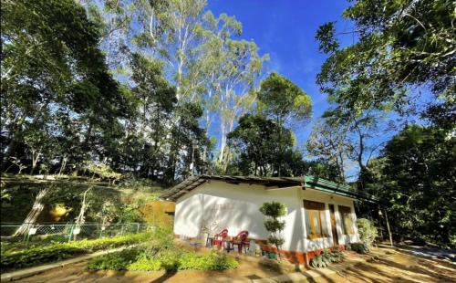 Bandarawela House | Modern Nature Retreat - Private Holiday Home in Bandarawela Hills