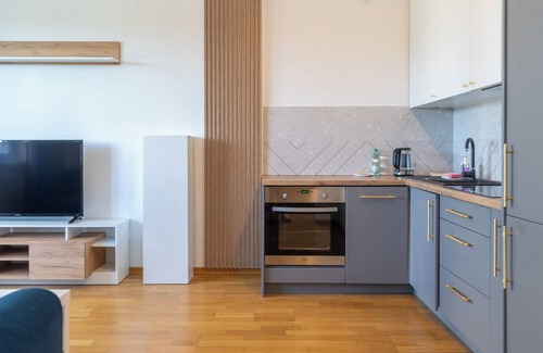 Katowice Apartment | Modern Oasis Apartment