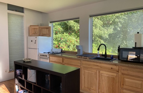 Big Lake Cabin | Modern Private Cabin with views of Denali and Mt. Susitna.