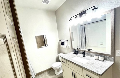 South Main Apartment | Modern Queen Bed Near Medical Center Downtown Galleria Art Gallery