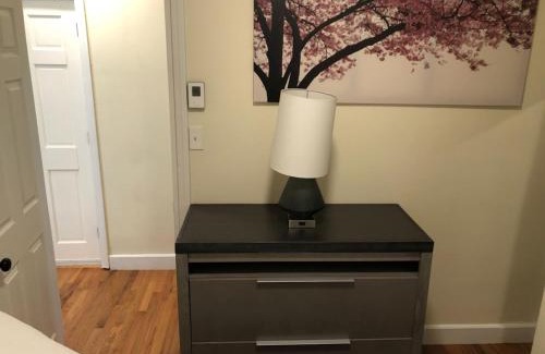 Roxbury Apartment | Modern Renovated 2-Bedroom in South Boston
