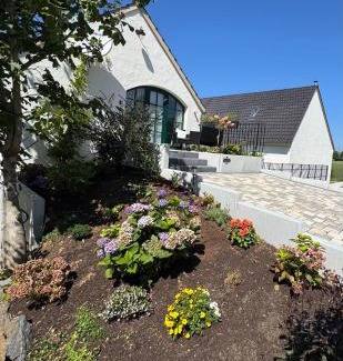 Trierweiler Apartment | Modern renoviertes Appartment am Luisenhof
