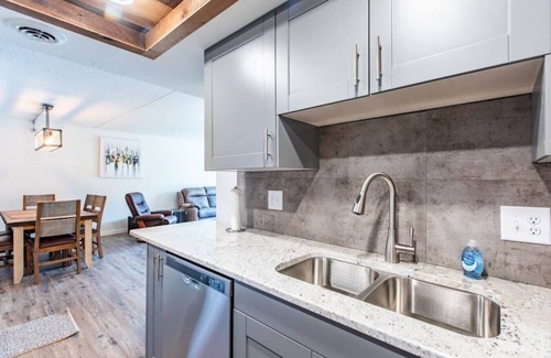 East Side Pioneers Condo | Modern, Rustic 2 Bed/1 bath 6 blocks from Mayo