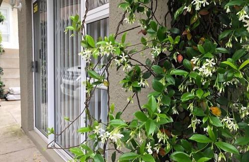 Berea House | Modern Self-Catering Apartment