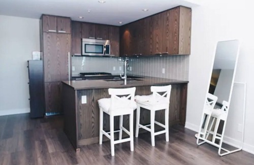 Coquitlam Condo | Modern spacious 1 bedroom with city view