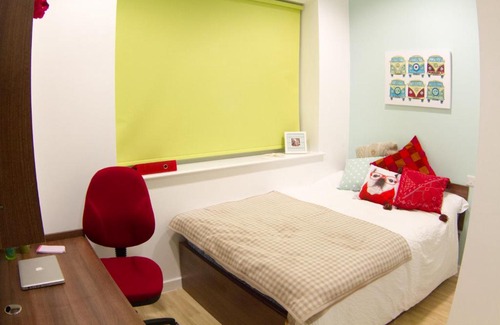 Bangor Apartment | Modern Studios, BANGOR - SK