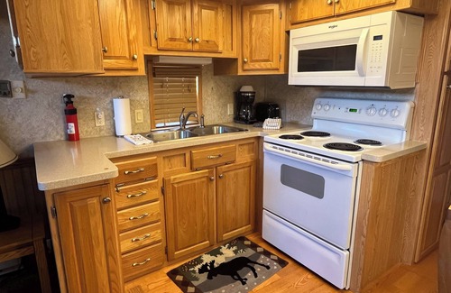 Almont Cabin | Modern "Tiny Home" Style Cabin on Taylor River with Private Fishing Access