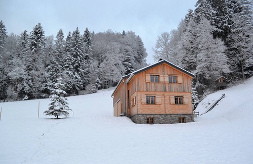 Bizau Ski Chalet | Modern vacation hut in a quiet, secluded location at the foot of the Hirschberg, with terrace