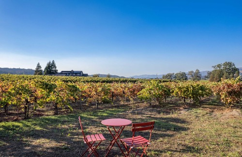 Healdsburg House | Modern Vineyard House