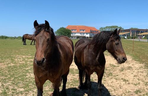 Neddesitz Apartment | Moderne Apartments im Ferienpark auf Rügen