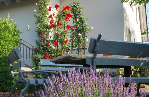 Kolitzheim Apartment | Moderne Ferienwohnung (80qm) mit gemütlicher Sitzecke im Garten
