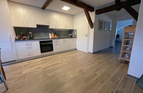 Rietheim Apartment | Moderne Loftwohnung mit Fahrtsuhl Bad Zurzach