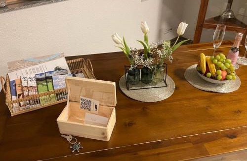 Rietheim Apartment | Moderne Loftwohnung mit Fahrtsuhl Bad Zurzach