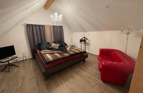 Rietheim Apartment | Moderne Loftwohnung mit Fahrtsuhl Bad Zurzach