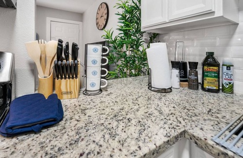 Central Arlington Apartment | Modish 1BD:AT&T Walkable & In the heart of it ALL!