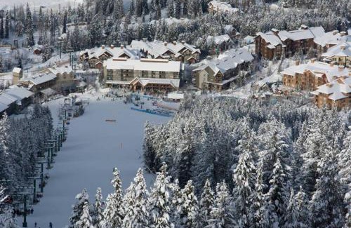 East Kootenay Apartment | Moguls, Lofted Ski in Ski Out with Hot Tub Access