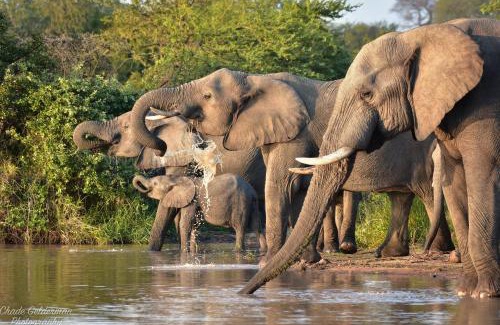 Hoedspruit House | Mohlabetsi Self Catering Bush Lodge