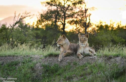 Hoedspruit House | Mohlabetsi Self Catering Bush Lodge