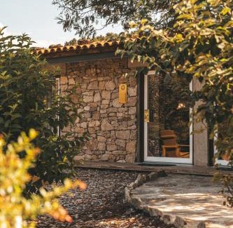 Moimenta da Beira House | Moinho d'Antoninha