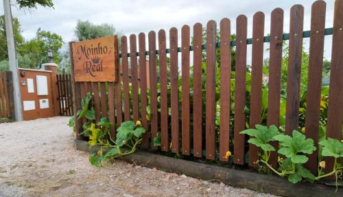 Camparca Bed & Breakfast | Moinho Real