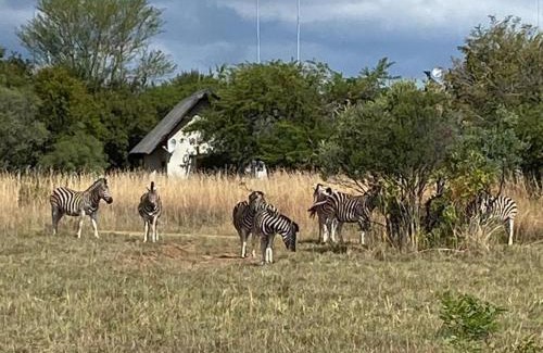 Leeupoort Villa | Mokaikai - The Soaring Eagle
