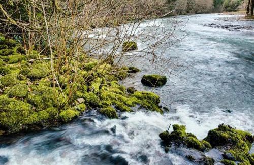Molalla House | Molalla River Cottage