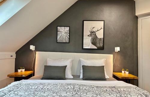 Karlovice Apartment | Molinaro Apartmány Jeseníky