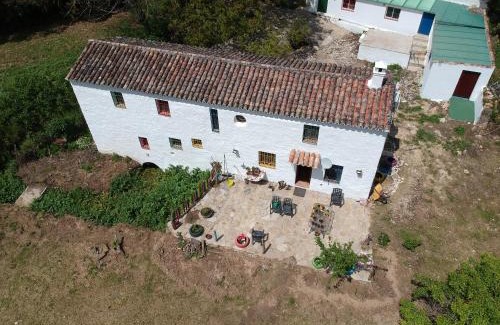 Benaojan House | Molino de Simón