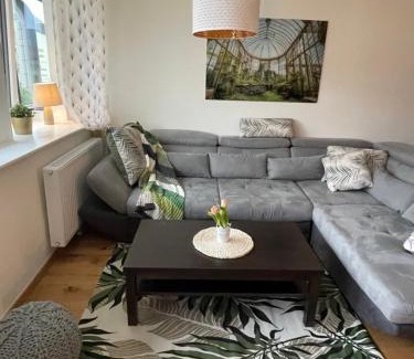 Mariahilf Apartment | MollArt Apartment