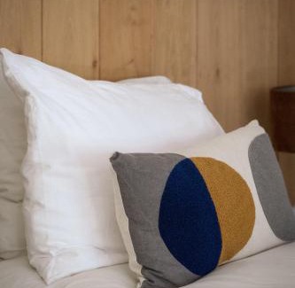 Vaassen Bed & Breakfast | Mollenvlied