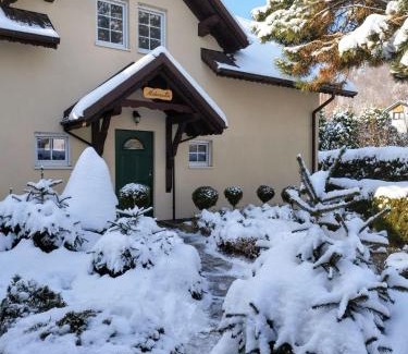 Meszna House | Molonówka Guest House