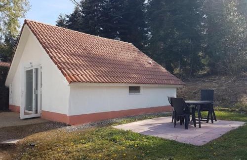 Daumazan-sur-Arize Ski Chalet | Mon chalet en Ariège avec piscine