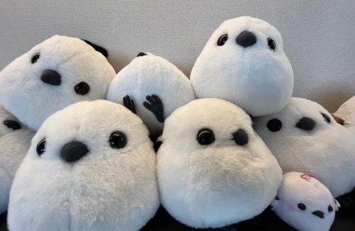 Monbetsu Hotel | Monbetsu Prince Hotel