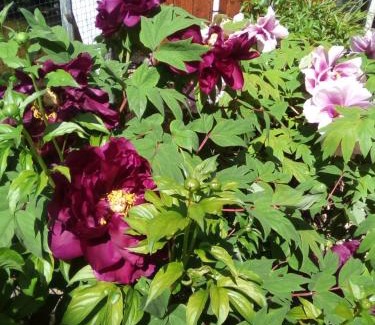 Rivarone Bed & Breakfast | Monferrato Inn