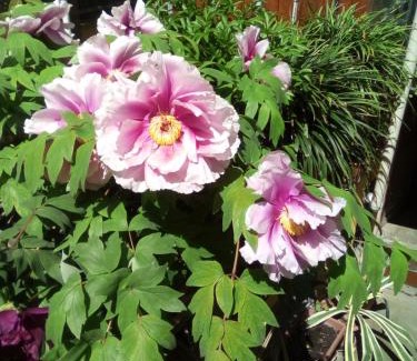 Rivarone Bed & Breakfast | Monferrato Inn