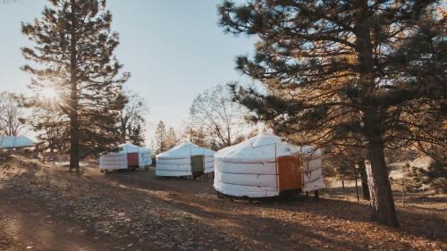 Dunlap House | Mongolian yurt at a nature retreat