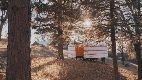Dunlap House | Mongolian yurt at a nature retreat